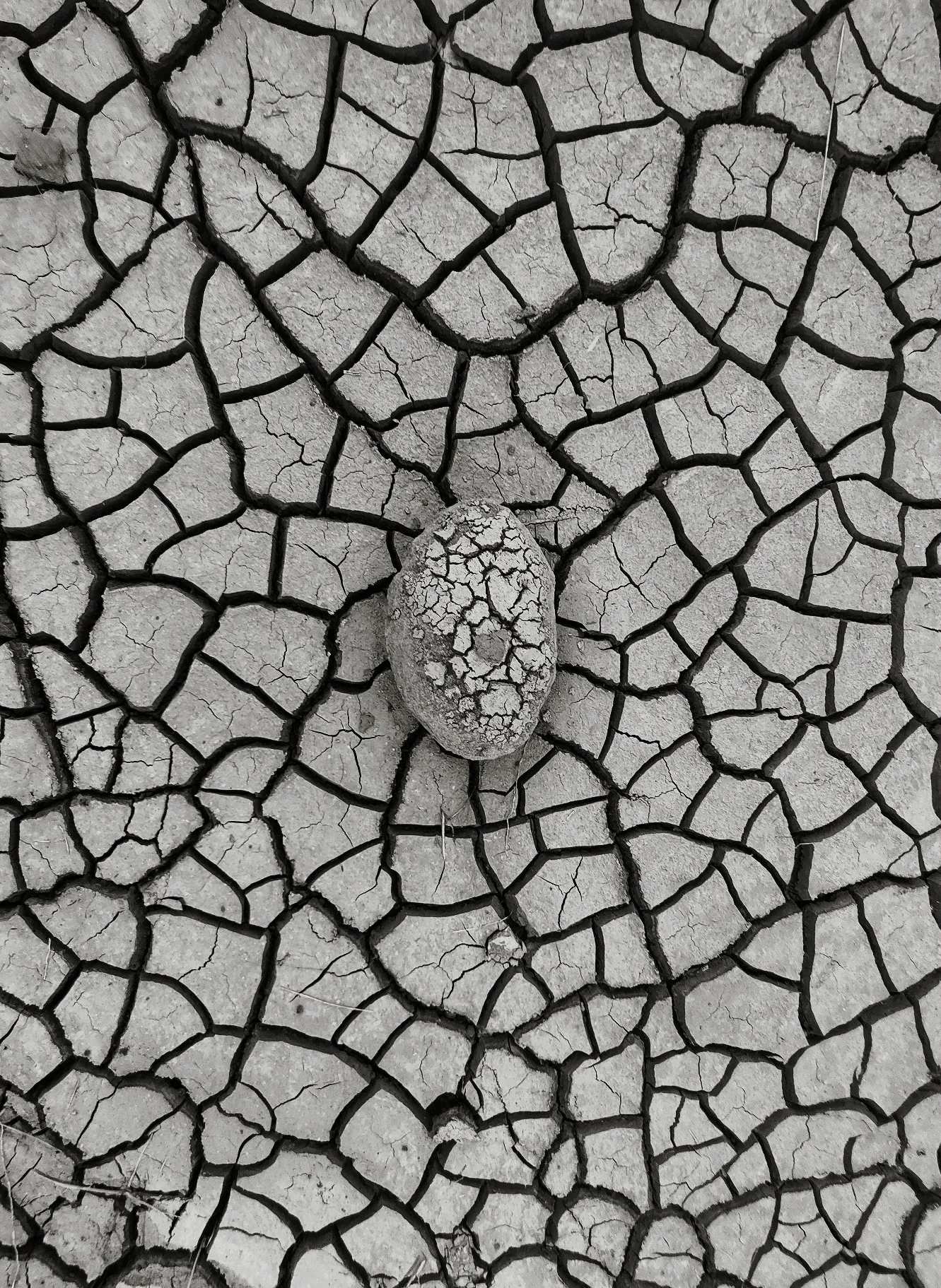 A pebble resting on cracked, dried earth, in black and white.